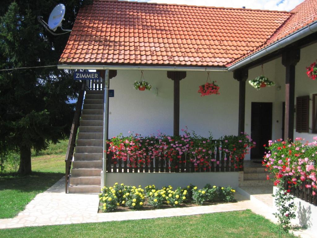 Guesthouse Andja Smoljanac Exterior photo